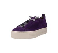 0074-5417-014/Pauls Violet - Gr. - 4 UK