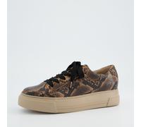 Sneaker PAUL GREEN "Paul Green Sneaker Glattleder", Damen, Gr. 40, braun, Glattleder, casual, Schuhe (75651651-40) braun