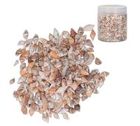 1 Dose Muschel Perle Tiny Sea Shells Ocean Beach Natural Spiral Seashells Craft Charms für DIY Fisch Tank Landschaftsbau Drift Flasche Dekoration