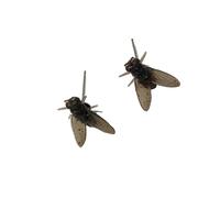 1 Paar Praktische Ohrstecker in Fliegenform Einzigartiger Ohrschmuck Harzstruktur Geeignet Für Frauen Einzigartiges Halloween Zubehör Lustige Ohrringe