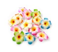 10 Stück 7 cm mehrfarbige Hawaii-Plumeria-Blumen-Clips, Strand-Schaum-Blumen-Kopfschmuck, Strandparty, Haarspangen, künstliche tropische Blumen-Haarnadeln für Hochzeit, Schönheit, Körperpflege,