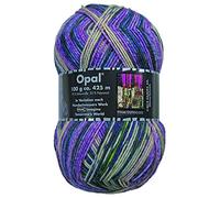 100g Sockenwolle Opal Hundertwasser III - Imagine Tomorrow's World - 3203