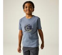 Dare 2b Shirt "Trailblazer IIi" in Blaugrau - Größe 152 | Kinder Oberteile