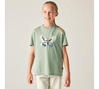 Dare2b Amusing Tee glaciergreen (1JE) 13yrs