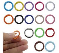 15 Stück Mini Karabinerhaken Runde Karabiner Schlüsselanhänger 25mm Schlüsselring Metallring Mini Karabiner Schlüsselringe Klein Clip Ringe Haken für Schule Zuhause Oder Büro (15 Farben)