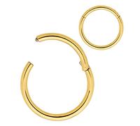(2.5/14mm) Nasenring Hoop 316L Chirurgenstahl Knorpelohrring Septum Clicker Ring Edelstahl Klappbarer Segmentring Lippenring Conch Daith Helix Rook Tragus Lobe Snug Ear Body Piercing Schmuck