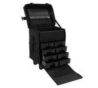 2 in 1 Kosmetikkoffer, Abnehmbarer Kosmetikkoffer, Kosmetik Trolley