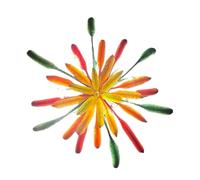 2026 Silvester Haarspangen - Rutschfeste Feuerblume Bunte Haarnadel - Haarstyling Zubehör,Für Festival, Zuhause, Reisen, Hochzeit, Brautparty, Sommerurlaub, Täglich Und Geburtstag