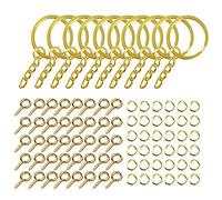 220 Pieces For Key Chain Rings Kit Keychain With Jump And Screw Eye Pin Bulk For Resin DIY Craft Jewelry Fin Keychain With Jump
