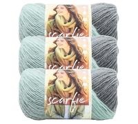 (3er-Pack) Lion Brand Yarn Scarfie Bulky Yarn Mint/Silber