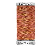 4003 Gütermann Sulky Cotton 30 Multicolor 300m, 4003