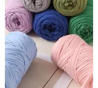 400g (200g * 2), 2-Knäuel Pack aus hochwertigem, hochelastischem Bandgarn, geeignet für handgestrickte Taschen, Körbe, Teppiche, Schuhe, verschiedene