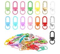 45 Stück Bunt Karabiner Schlüsselanhänger Karabinerhaken Mini Karabiner Schlüsselanhänger Klein Drehbarer Karabinerhaken Schlüssel für DIY Taschen Bastelarbeiten Schlüsselband
