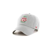 47 Brand EPL FC Liverpool Cap EPL-RGW04GWS-GYA, Mens Cap with a Visor, Grey