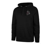 47 Brand Herren Hoodie 47 Brand NHL Arizona Coyotes Imprint Backer 47 BURNSIDE Hood S