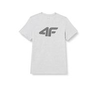 4F Herren Men's T-Shirt TSM353 T-Shirt, Cold Light Grey Melange, L