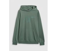 4F Hoodie in Grün - Größe XL | Herren Sweatshirts Jacken