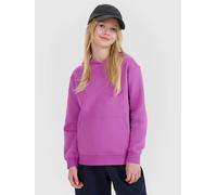 4F Hoodie in Mauve - Größe 152 | Kinder Sweatshirts Jacken