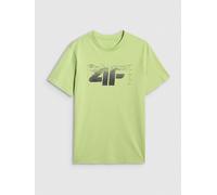 4F Shirt in Grün - Größe L | Herren Plussize