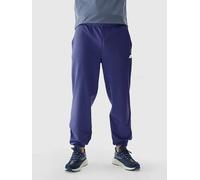 4F Sweathose in Lila - Größe XL | Herren Plussize