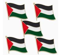 (5 Stück) Wappen von Palästina Palästinenser Karte Flagge Nationales Emblem Brosche Abzeichen Anstecknadeln