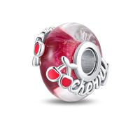 925 Sterling Silber Glas Charm Geburtsstein Tier Mama Blume Anhänger Hund Katze Kreuz Weihnachten für Pandora Charm Armband, one size, Sterling-Silber, Zirkon