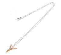 Abaodam Haifischzahn Halskette Vintage mit Silberner Kette Handgefertigter Anhänger aus Echtem Haifischzahn Retro Schmuck für Jungen Mädchen und Teenager Strand Accessoire