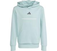 adidas Slogan Fleece-Hoodie Tactile Green 176
