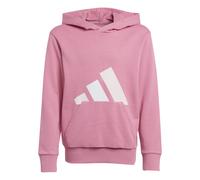 Adidas AG Adidas Kinder Kapuzenshirt/Hoodie J BL FT HD 280 - Mehrfarbig - 176