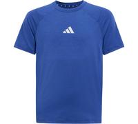 adidas All Sports Favorite T-Shirt Jungen JD0135 - team royal blue/dark blue/reflective silver 152