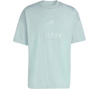 adidas All SZN Embroidered Graphics T-Shirt KC4656 - wonder sage L