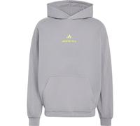 adidas AMG Washed Hoodie grey three (AA2T) L