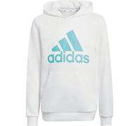 Adidas B BL HD Gr. 152