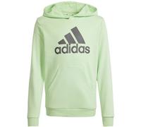 Adidas Big Logo Essentials Cotton Hoodie Kinder Kapuzensweater, grün 164