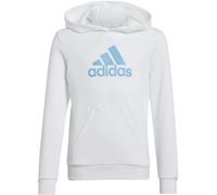 Adidas Big Logo Essentials Cotton Hoodie Kinder Kapuzensweater, weiß 128