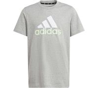 Adidas U BL 2 TEE,MGREYH/WHITE/SEGRSP, 128