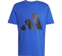 adidas Herren Essentials Big Logo Single Jersey Tee, Team royal Blue/Black, XXL