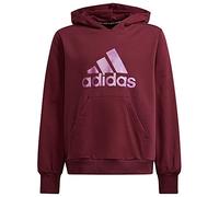 adidas Kinder Pullover Future Icons Logo Hoodie VICCRI/SONFUC 152
