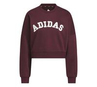 Chenille Logo Grafik Sweatshirt Maroon L