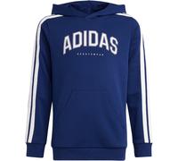 adidas Hoodie Codes Collegiate Graphic Junior Hoodie blau/weiß - 152
