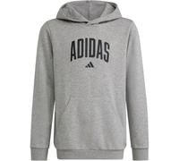 ADIDAS Kinder Kapuzensweat CODES COLLEGIATE GRAFIK (KA2989) 176 MGREYH
