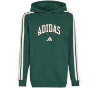 Adidas Codes Collegiate Graphic Hoodie Kinder Kapuzensweater, grün 164