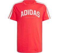 adidas Codes Collegiate Graphic T-shirt pure ruby (AFDF) 128