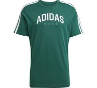 Adidas Codes Collegiate Linear Graphic Herren T-Shirt, grün 3XL