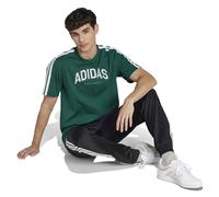 Adidas Codes Collegiate Linear Graphic Kurzarm-t-shirt