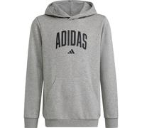 ADIDAS Kinder Kapuzensweat CODES COLLEGIATE GRAFIK (KA2989) 164 MGREYH