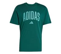 adidas Sportswear Collegiate Lineage Graphic T-Shirt KA7135 - collegiate green XL