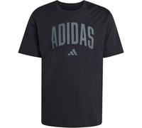adidas Collegiate Lineage Graphic T-Shirt KH4592 - black S