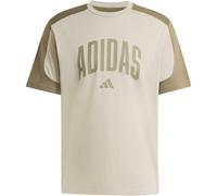 Adidas Collegiate Kurzarm-t-shirt L Silver Pebble / Olive Strata