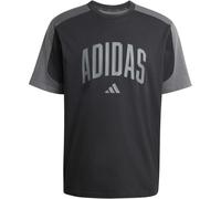 Adidas Collegiate T-Shirt Herren T-Shirt, schwarz L